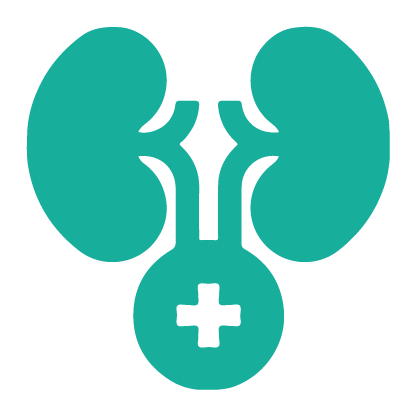 We treat the problems of the urinary system and the genitourinary tract.