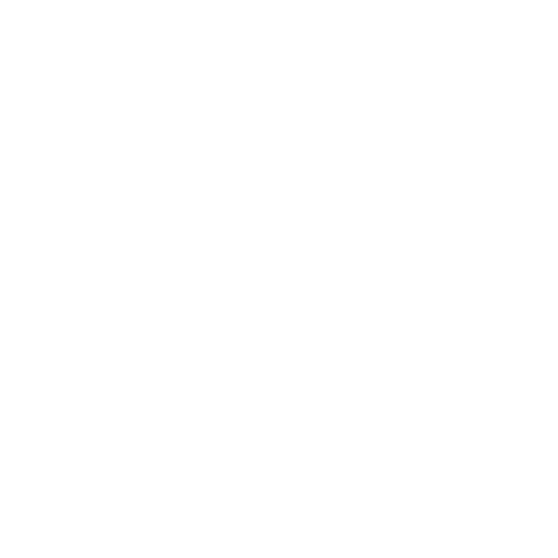 Vision Icon